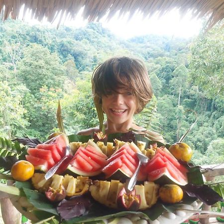 Orangutantreksumatra & Lovely Jungle Lodge Only Book If You Are Treking With Us Букит-Лаванг Экстерьер фото