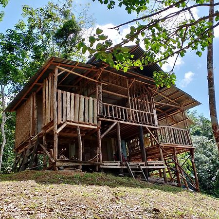 Orangutantreksumatra & Lovely Jungle Lodge Only Book If You Are Treking With Us Букит-Лаванг Экстерьер фото