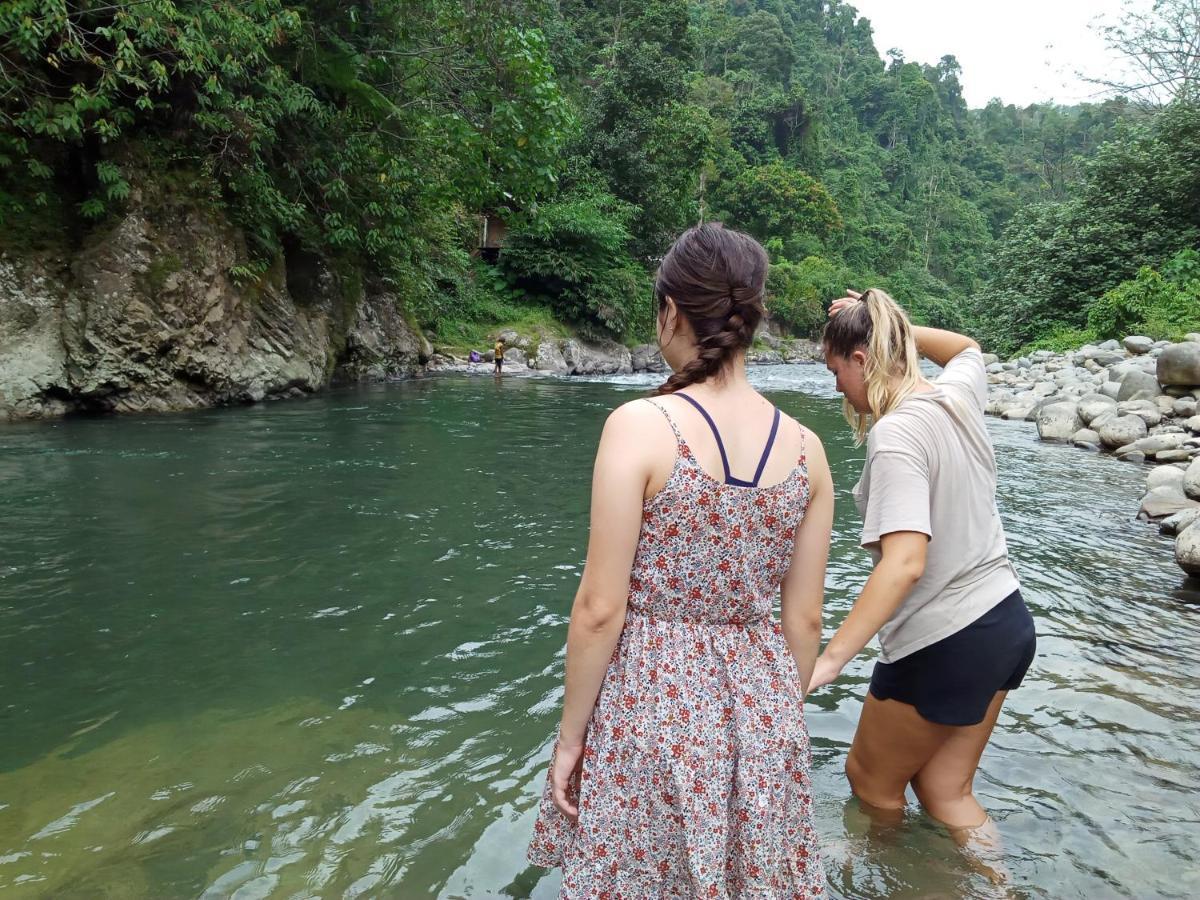 Orangutantreksumatra & Lovely Jungle Lodge Only Book If You Are Treking With Us Букит-Лаванг Экстерьер фото