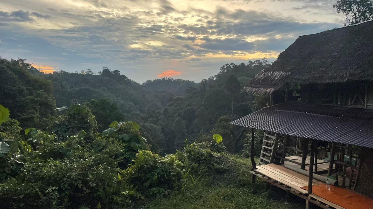 Orangutantreksumatra & Lovely Jungle Lodge Only Book If You Are Treking With Us Букит-Лаванг Экстерьер фото