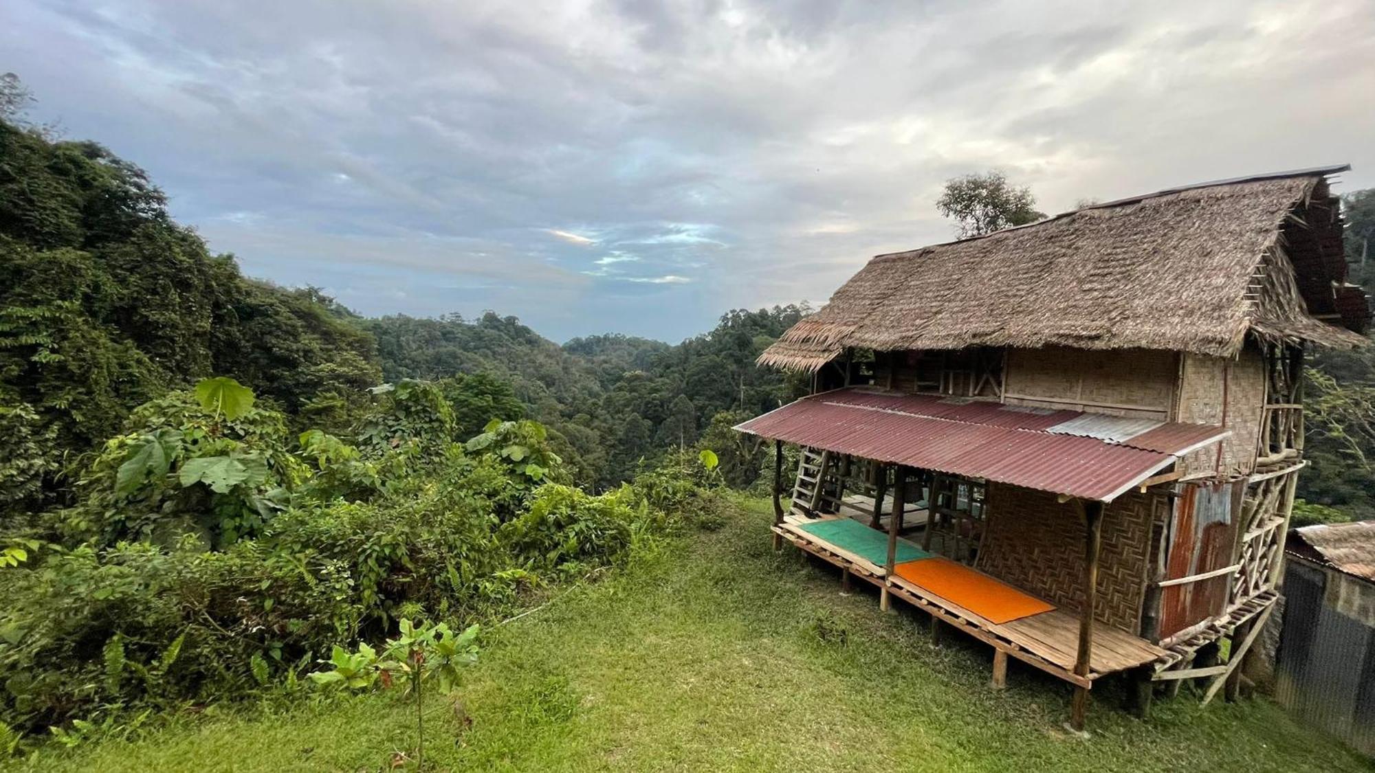 Orangutantreksumatra & Lovely Jungle Lodge Only Book If You Are Treking With Us Букит-Лаванг Номер фото