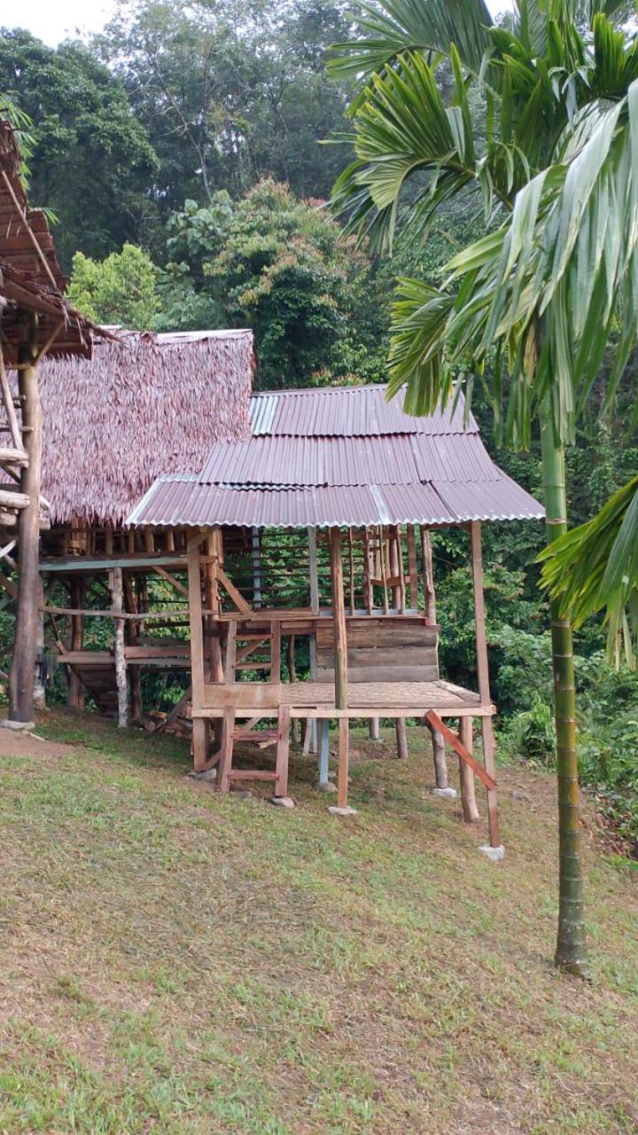 Orangutantreksumatra & Lovely Jungle Lodge Only Book If You Are Treking With Us Букит-Лаванг Экстерьер фото