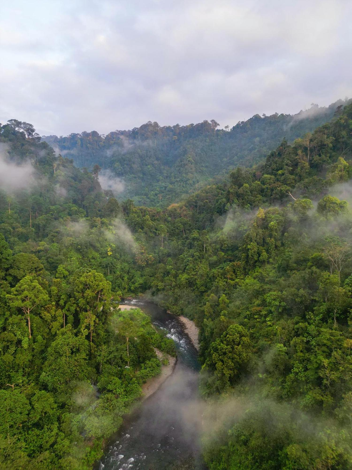 Orangutantreksumatra & Lovely Jungle Lodge Only Book If You Are Treking With Us Букит-Лаванг Экстерьер фото