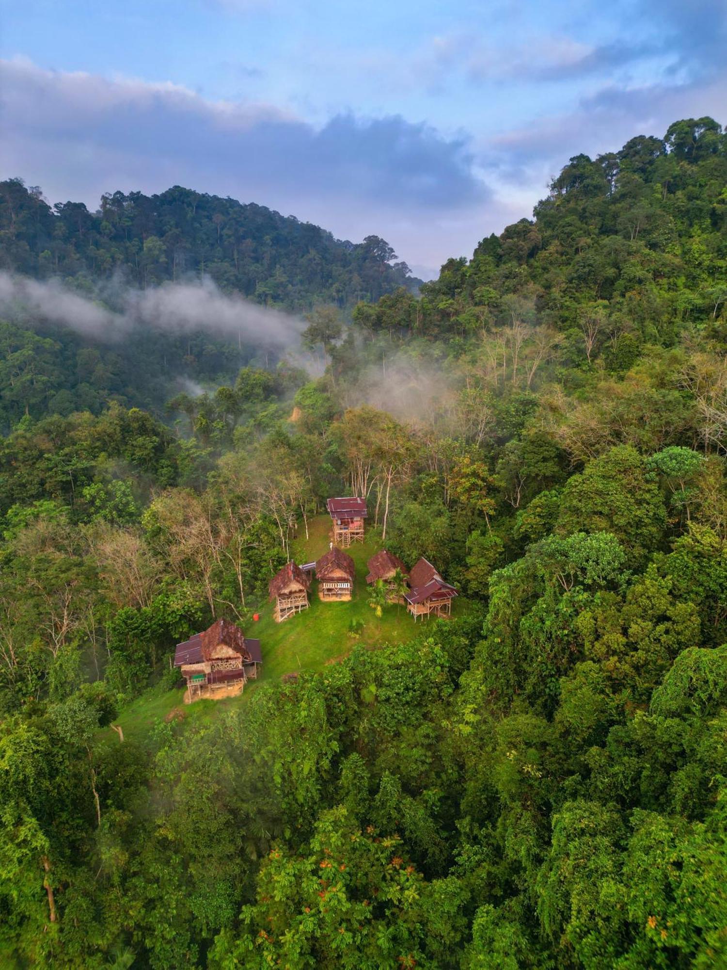 Orangutantreksumatra & Lovely Jungle Lodge Only Book If You Are Treking With Us Букит-Лаванг Экстерьер фото