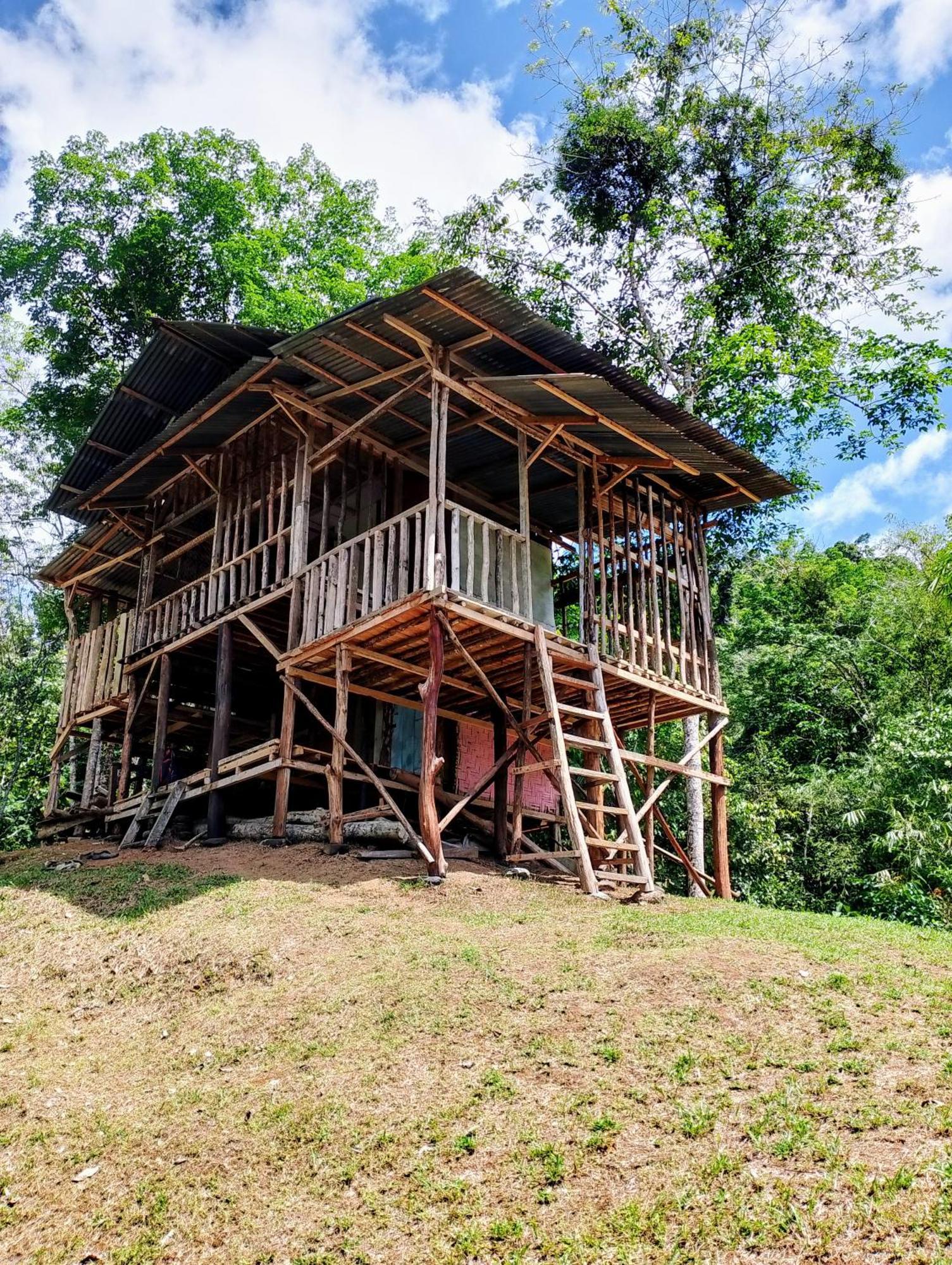 Orangutantreksumatra & Lovely Jungle Lodge Only Book If You Are Treking With Us Букит-Лаванг Экстерьер фото
